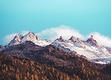 世界杯手机观看软件-NBA周最佳球员：东部奎克利 西部东契奇